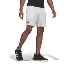 adidas Tennishose Short Club Stretch Woven 7in/18cm kurz weiss Herren